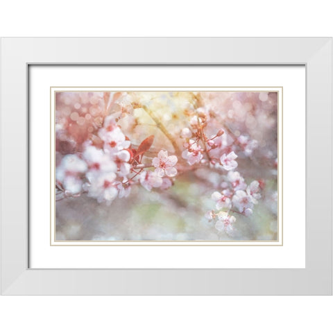 Spring Blooms 04 White Modern Wood Framed Art Print with Double Matting by LightBoxJournal
