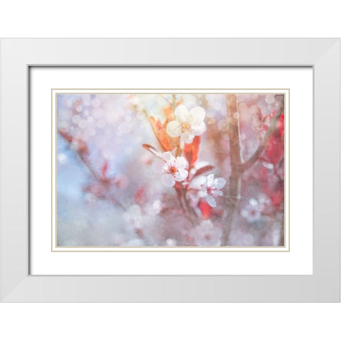 Spring Blooms 05 White Modern Wood Framed Art Print with Double Matting by LightBoxJournal
