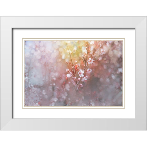 Spring Blooms 07 White Modern Wood Framed Art Print with Double Matting by LightBoxJournal