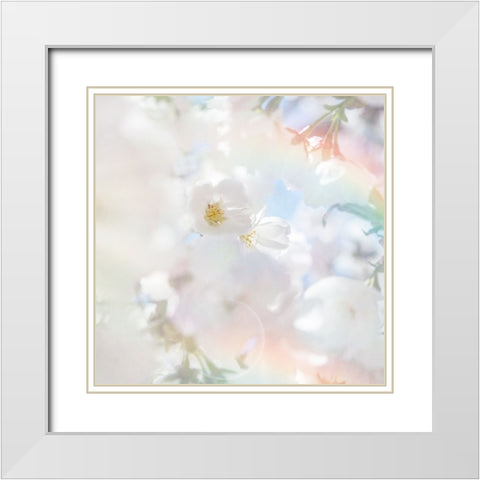 Apple Blossoms 03 White Modern Wood Framed Art Print with Double Matting by LightBoxJournal