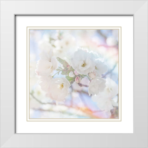 Apple Blossoms 05 White Modern Wood Framed Art Print with Double Matting by LightBoxJournal