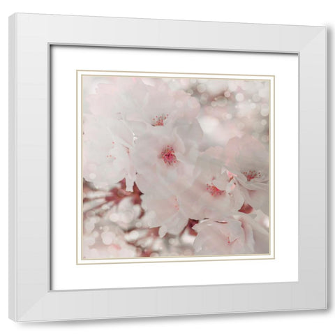 Pinky Blossom 1 White Modern Wood Framed Art Print with Double Matting by LightBoxJournal
