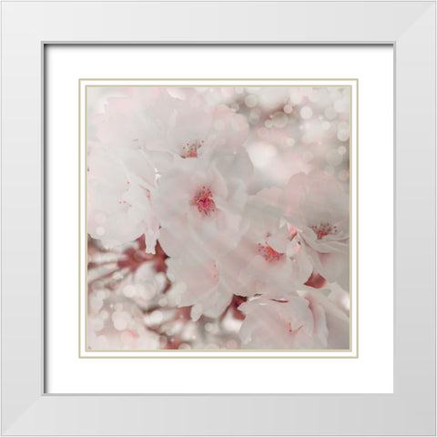 Pinky Blossom 1 White Modern Wood Framed Art Print with Double Matting by LightBoxJournal