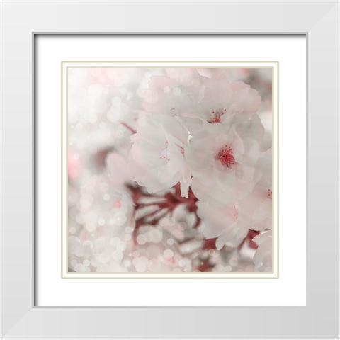 Pinky Blossom 2 White Modern Wood Framed Art Print with Double Matting by LightBoxJournal