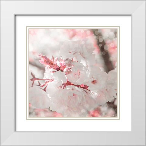 Pinky Blossom 3 White Modern Wood Framed Art Print with Double Matting by LightBoxJournal