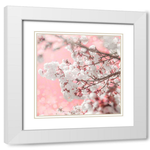 Pinky Blossom 5 White Modern Wood Framed Art Print with Double Matting by LightBoxJournal