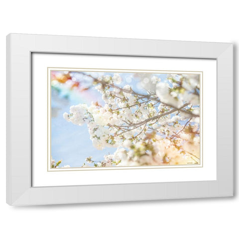 White Spring Blossoms 04 White Modern Wood Framed Art Print with Double Matting by LightBoxJournal