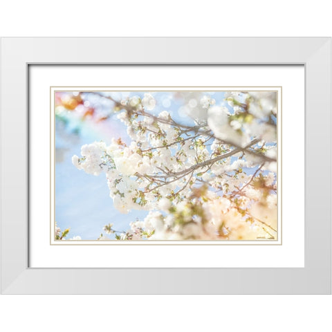 White Spring Blossoms 04 White Modern Wood Framed Art Print with Double Matting by LightBoxJournal