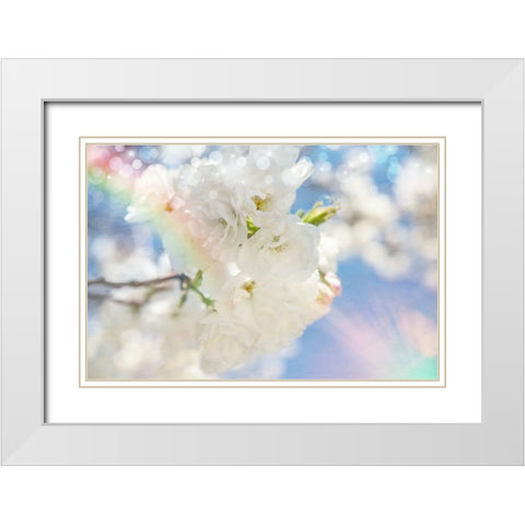 White Spring Blossoms 08 White Modern Wood Framed Art Print with Double Matting by LightBoxJournal