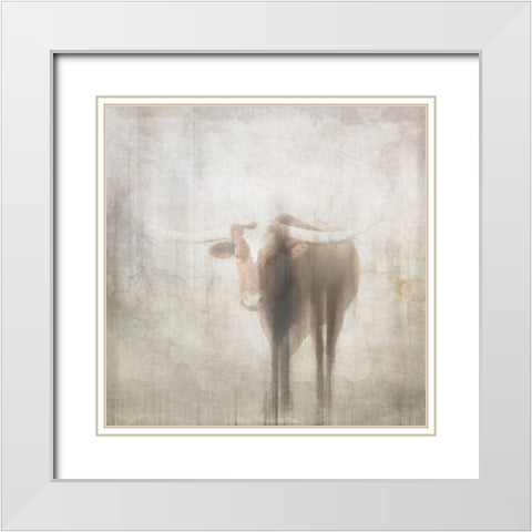 Antique Farm 03 White Modern Wood Framed Art Print with Double Matting by LightBoxJournal