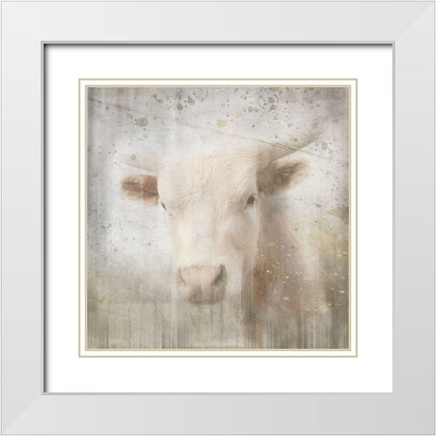 Antique Farm 07 White Modern Wood Framed Art Print with Double Matting by LightBoxJournal