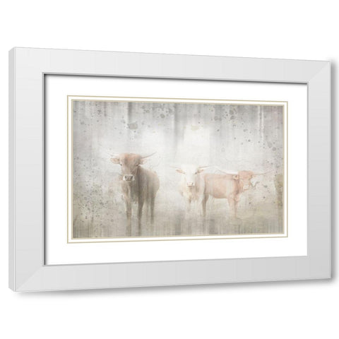 Antique Farm 08 White Modern Wood Framed Art Print with Double Matting by LightBoxJournal