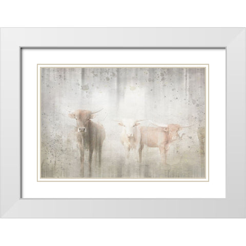 Antique Farm 08 White Modern Wood Framed Art Print with Double Matting by LightBoxJournal