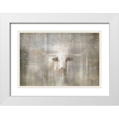 Antique Farm 09 White Modern Wood Framed Art Print with Double Matting by LightBoxJournal