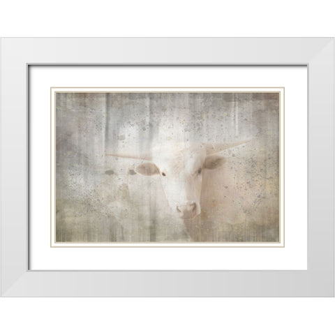Antique Farm 10 White Modern Wood Framed Art Print with Double Matting by LightBoxJournal