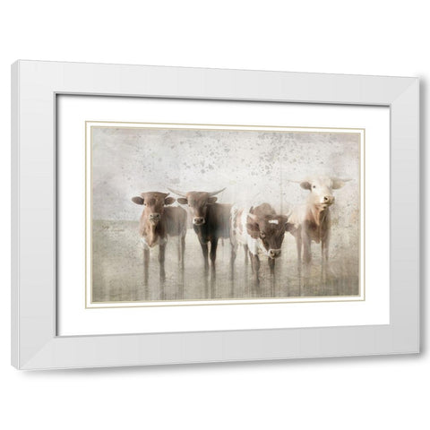 Antique Farm 13 White Modern Wood Framed Art Print with Double Matting by LightBoxJournal