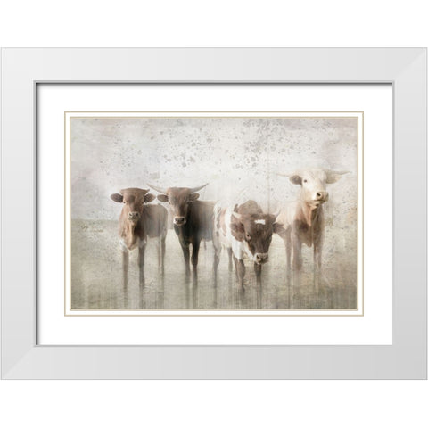 Antique Farm 13 White Modern Wood Framed Art Print with Double Matting by LightBoxJournal