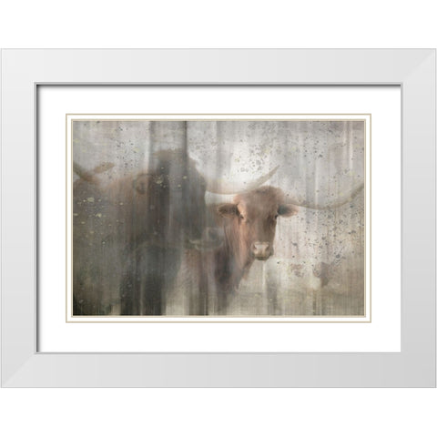 Antique Farm 15 White Modern Wood Framed Art Print with Double Matting by LightBoxJournal