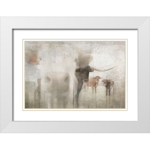 Antique Farm 16 White Modern Wood Framed Art Print with Double Matting by LightBoxJournal