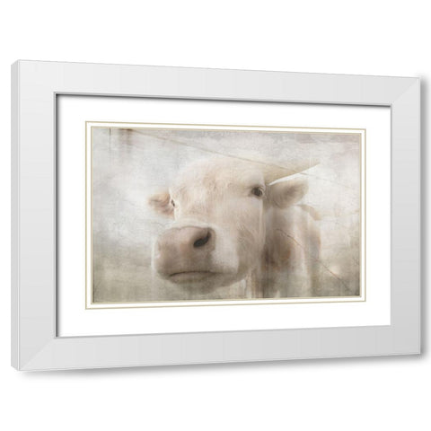 Antique Farm 18 White Modern Wood Framed Art Print with Double Matting by LightBoxJournal