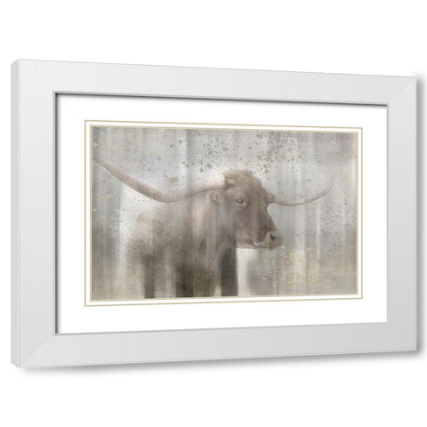 Antique Farm 19 White Modern Wood Framed Art Print with Double Matting by LightBoxJournal