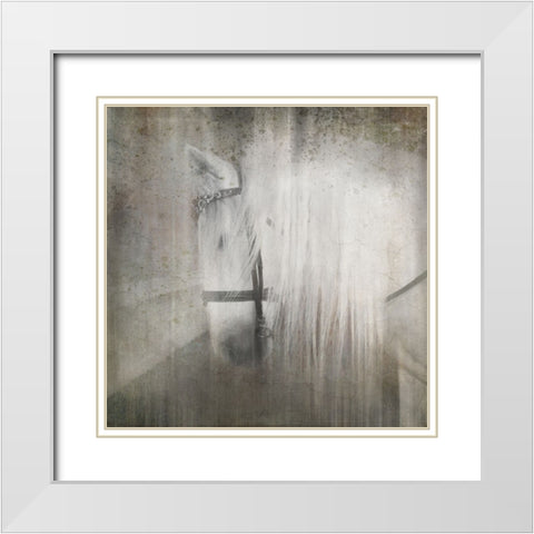 Antique Farm 21 White Modern Wood Framed Art Print with Double Matting by LightBoxJournal