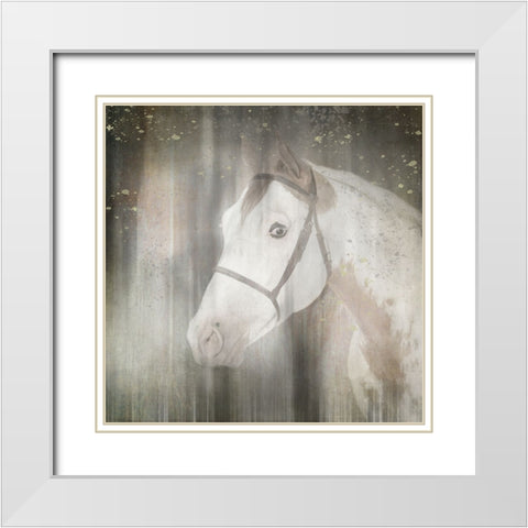 Antique Farm 29 White Modern Wood Framed Art Print with Double Matting by LightBoxJournal