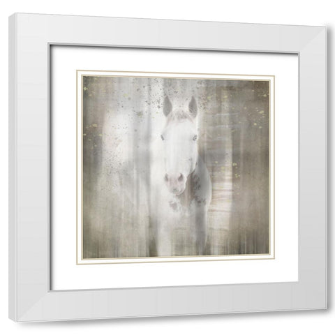 Antique Farm 30 White Modern Wood Framed Art Print with Double Matting by LightBoxJournal