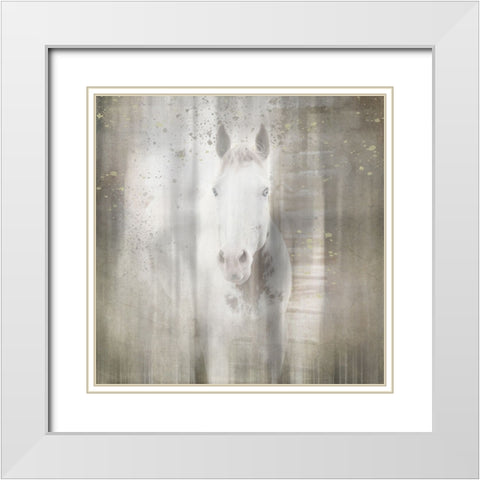 Antique Farm 30 White Modern Wood Framed Art Print with Double Matting by LightBoxJournal