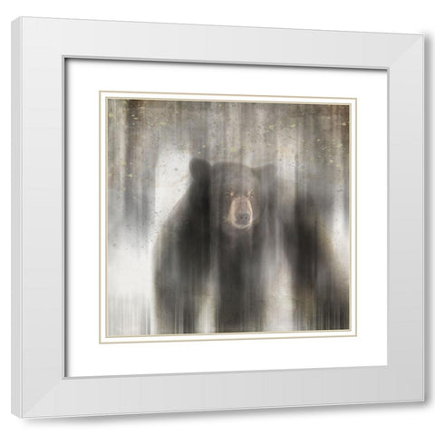Antique Wildlife bear White Modern Wood Framed Art Print with Double Matting by LightBoxJournal