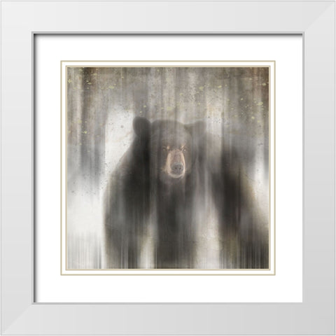 Antique Wildlife bear White Modern Wood Framed Art Print with Double Matting by LightBoxJournal