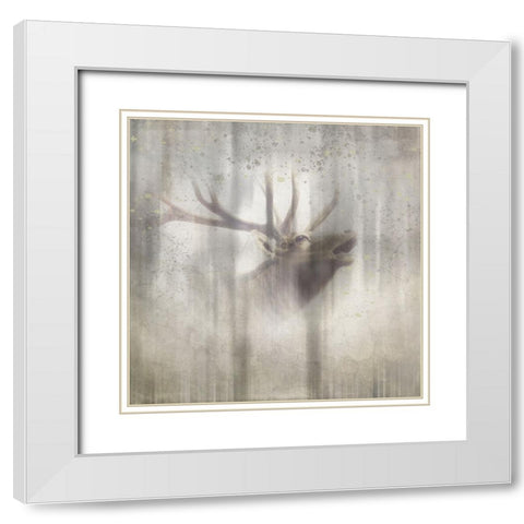Antique Wildlife Elk 2 White Modern Wood Framed Art Print with Double Matting by LightBoxJournal