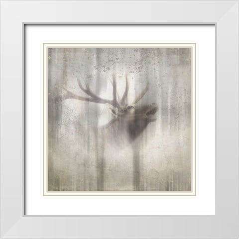 Antique Wildlife Elk 2 White Modern Wood Framed Art Print with Double Matting by LightBoxJournal