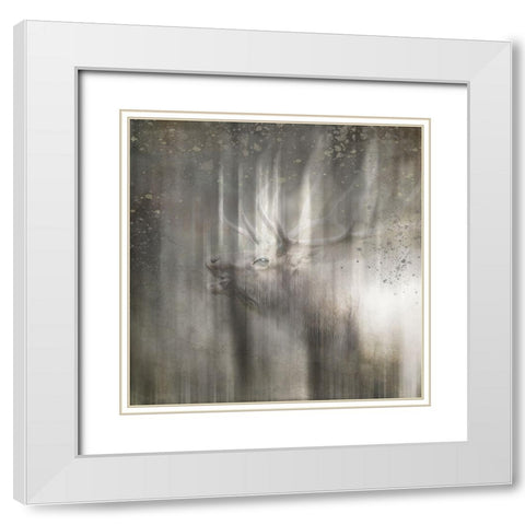Antique Wildlife Elk White Modern Wood Framed Art Print with Double Matting by LightBoxJournal