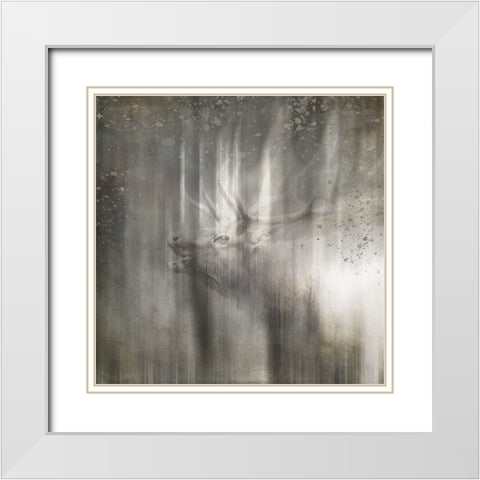Antique Wildlife Elk White Modern Wood Framed Art Print with Double Matting by LightBoxJournal