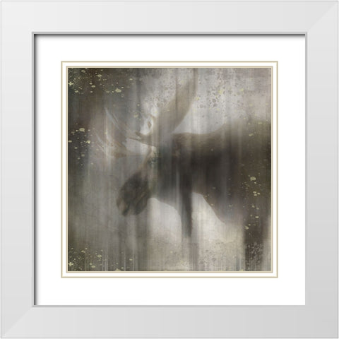 Antique Wildlife Moose White Modern Wood Framed Art Print with Double Matting by LightBoxJournal