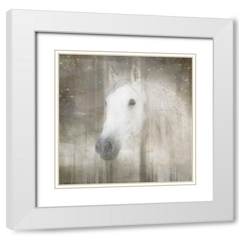 Antique Farm 031 White Modern Wood Framed Art Print with Double Matting by LightBoxJournal