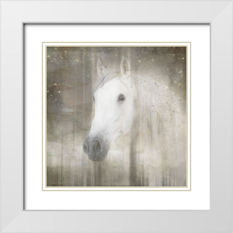 Antique Farm 031 White Modern Wood Framed Art Print with Double Matting by LightBoxJournal