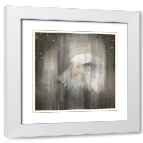Antique Wildlife Eagle White Modern Wood Framed Art Print with Double Matting by LightBoxJournal