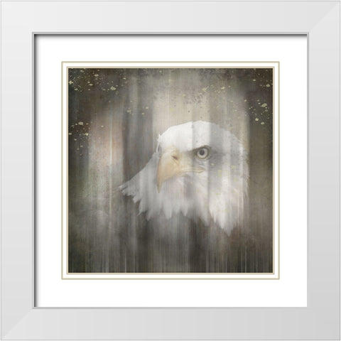 Antique Wildlife Eagle White Modern Wood Framed Art Print with Double Matting by LightBoxJournal