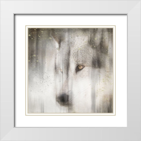 Antique Wildlife Wolf White Modern Wood Framed Art Print with Double Matting by LightBoxJournal