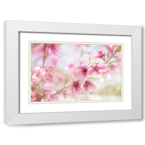 Cherry Pops 01 White Modern Wood Framed Art Print with Double Matting by LightBoxJournal