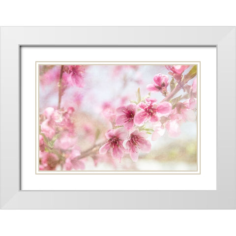 Cherry Pops 01 White Modern Wood Framed Art Print with Double Matting by LightBoxJournal