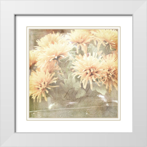 JunkGypsy 2 White Modern Wood Framed Art Print with Double Matting by LightBoxJournal