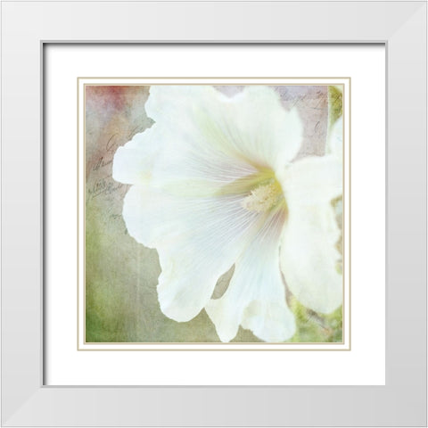 JunkGypsy 23 White Modern Wood Framed Art Print with Double Matting by LightBoxJournal