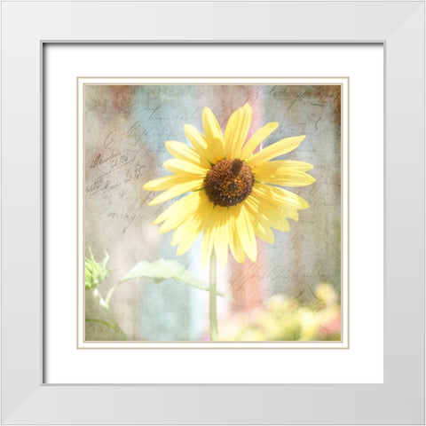 JunkGypsy 36 White Modern Wood Framed Art Print with Double Matting by LightBoxJournal