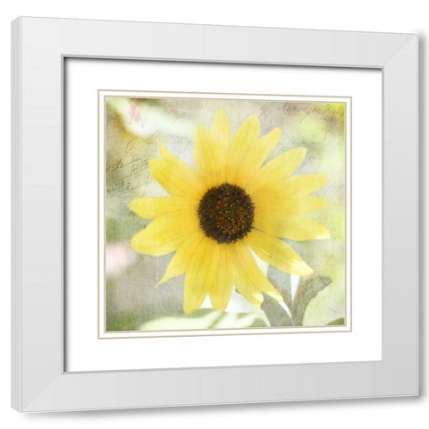 JunkGypsy 37 White Modern Wood Framed Art Print with Double Matting by LightBoxJournal