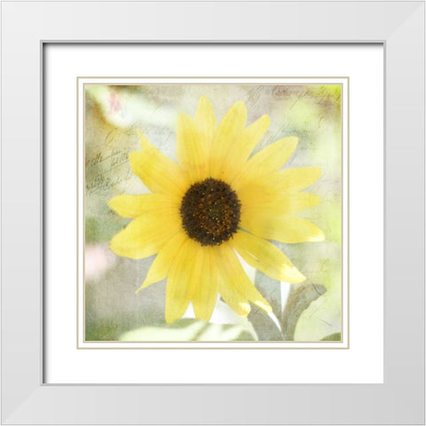 JunkGypsy 37 White Modern Wood Framed Art Print with Double Matting by LightBoxJournal
