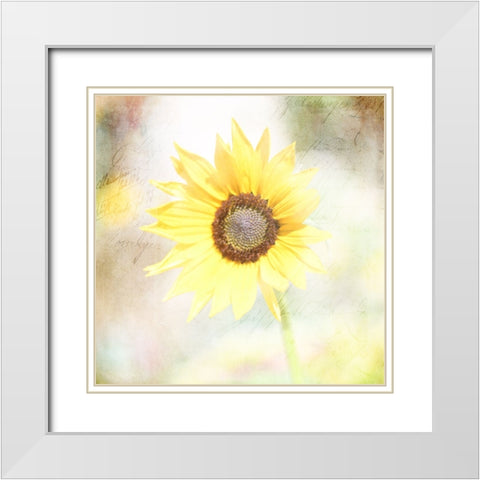 JunkGypsy 39 White Modern Wood Framed Art Print with Double Matting by LightBoxJournal