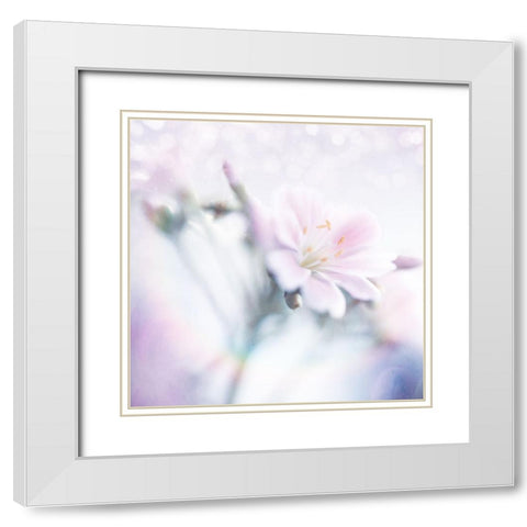Mystical Gypsy Flower 03 White Modern Wood Framed Art Print with Double Matting by LightBoxJournal